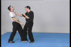 Wing Tsun Chi Sao 2 DVD with Victor Gutierriez - Budovideos Inc