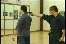 Shoryn Ryu Tai Jitsu DVD with Christian Harfouche - Budovideos Inc