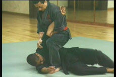 Shoryn Ryu Tai Jitsu DVD with Christian Harfouche - Budovideos Inc