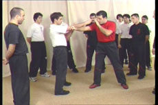 Wing Tsun Street Shock 1 DVD by Victor Gutierrez - Budovideos Inc