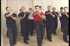 Wing Tsun Street Shock 1 DVD by Victor Gutierrez - Budovideos Inc