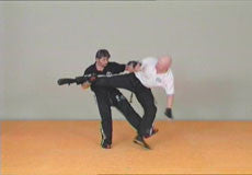 SPK: Self Pro Krav DVD with Jacques Levinet - Budovideos Inc