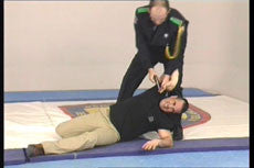 Police Aikido DVD with Jose Isidro - Budovideos Inc