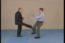 Extreme Street Attacks DVD with 5 Experts - Budovideos Inc