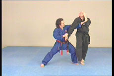 Jiu-jitsu Ryu DVD Vol 2 with Hanspeter Ruesch - Budovideos Inc