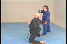 Jiu-jitsu Ryu DVD Vol 2 with Hanspeter Ruesch - Budovideos Inc