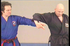 Jiu-jitsu Ryu DVD Vol 2 with Hanspeter Ruesch - Budovideos Inc