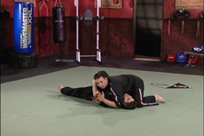 Authentic Pressure Points DVD 5: Grappling by Scott Rogers - Budovideos Inc