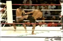 Shooto Tradition DVD Vol 2 - Budovideos Inc