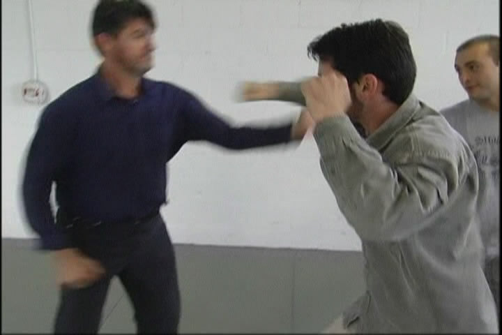 Systema: Beat the Odds DVD by Vladimir Vasiliev - Budovideos Inc