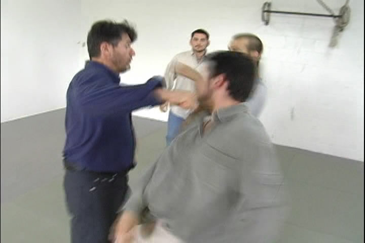 Systema: Beat the Odds DVD by Vladimir Vasiliev - Budovideos Inc