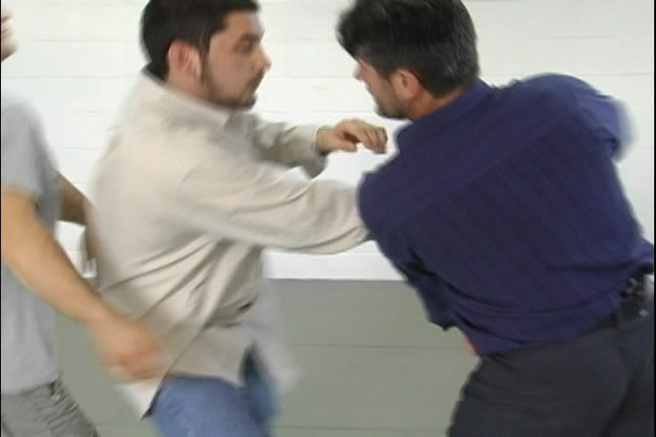 Systema: Beat the Odds DVD by Vladimir Vasiliev - Budovideos Inc