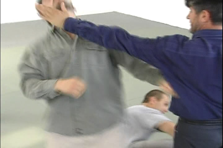 Systema: Beat the Odds DVD by Vladimir Vasiliev - Budovideos Inc