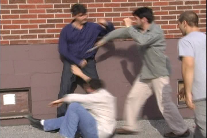 Systema: Beat the Odds DVD by Vladimir Vasiliev - Budovideos Inc