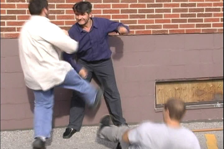 Systema: Beat the Odds DVD by Vladimir Vasiliev - Budovideos Inc