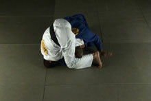 Royler Gracie Competition Tested Techniques DVD 3: Mount and Back Positions - Budovideos Inc