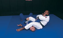 Ultimate Beginners Guide to BJJ DVD with Tinguinha - Budovideos Inc