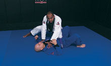 Ultimate Beginners Guide to BJJ DVD with Tinguinha - Budovideos Inc