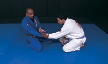 Ultimate Beginners Guide to BJJ DVD with Tinguinha - Budovideos Inc