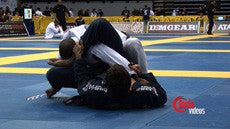 2011 Pan Jiu-jitsu Championships 4 DVD Set - Budovideos Inc