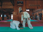 The Secret of Aikido Techniques DVD by Motofumi Yoshida - Budovideos Inc