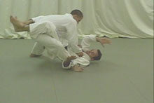 Blue to Purple BJJ Training DVD with Pedro Sauer - Budovideos Inc