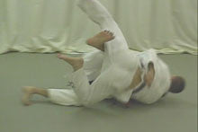 Blue to Purple BJJ Training DVD with Pedro Sauer - Budovideos Inc