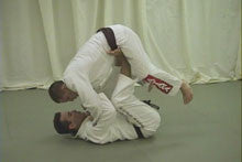 Blue to Purple BJJ Training DVD with Pedro Sauer - Budovideos Inc