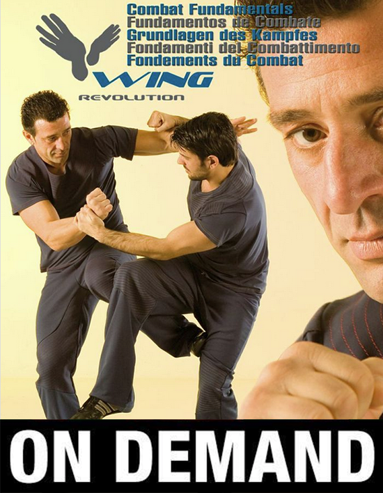 Wing Revolution Combat Fundamentals with Victor Gutierrez (On Demand) - Budovideos Inc