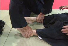 Daito Ryu Aikijujutsu: Nikajo Ura Techniques DVD 1 - Budovideos Inc