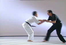 Ju Go Ryu no Aiki DVD by Kazuo Koyama - Budovideos Inc