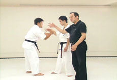 Ju Go Ryu no Aiki DVD by Kazuo Koyama - Budovideos Inc