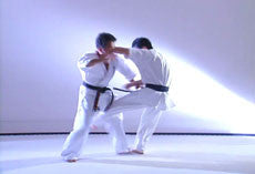 Ju Go Ryu no Aiki DVD by Kazuo Koyama - Budovideos Inc