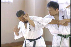 Shintaiiku-do Karate DVD 2 by Makoto Hirohara - Budovideos Inc