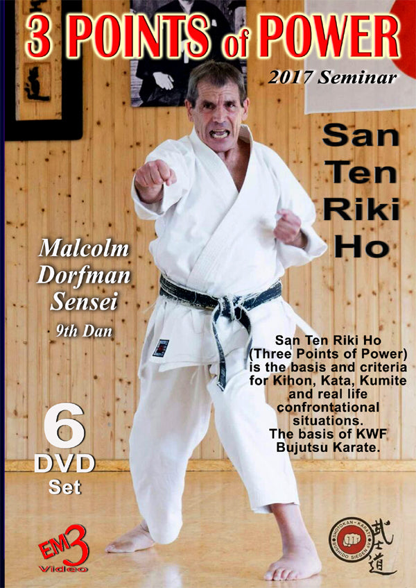 3 Points of Power 2017 Karate Seminar DVD by Malcolm Dorfman - Budovideos Inc