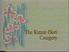 Mitsugi Saotome: Takemusu Aiki DVD - Budovideos Inc