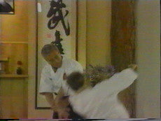 Mitsugi Saotome: Takemusu Aiki DVD - Budovideos Inc