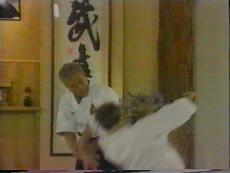 Takemusu Aiki with Mitsugi Saotome (On Demand) - Budovideos Inc
