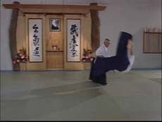 Mitsugi Saotome: Oyo Henka DVD - Budovideos Inc