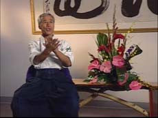 Mitsugi Saotome: Oyo Henka DVD - Budovideos Inc