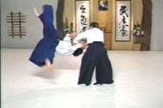 Aikido Principles & Techniques DVD by Mary Heiny - Budovideos Inc