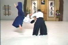 Aikido Principles & Techniques by Mary Heiny (On Demand) - Budovideos Inc