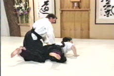 Aikido Principles & Techniques DVD by Mary Heiny - Budovideos Inc