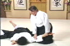 Aikido Principles & Techniques DVD by Mary Heiny - Budovideos Inc