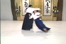Aikido Principles & Techniques by Mary Heiny (On Demand) - Budovideos Inc