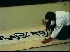 The Principles of Aikido with Mitsugi Saotome (On Demand) - Budovideos Inc