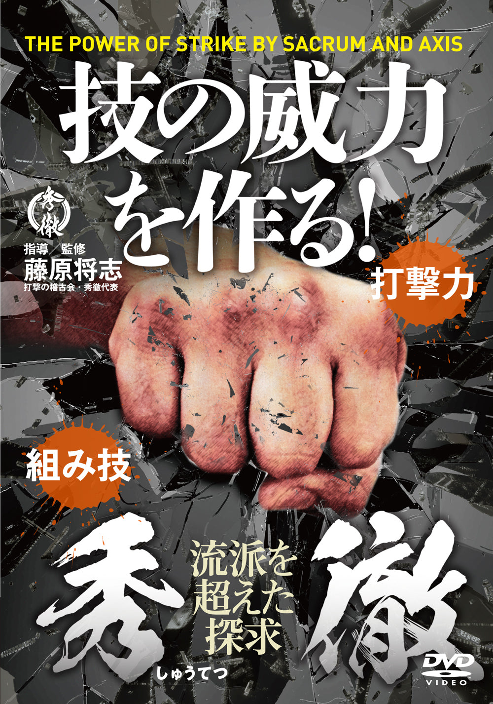The Power of Strike by Sacrum & Axis DVD by Masashi Fujiwara - Budovideos Inc