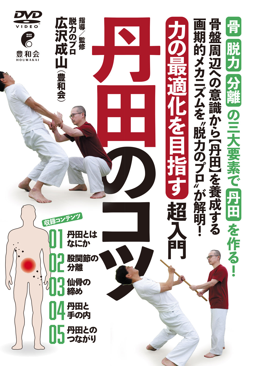 Optimizing Power: Tanden Tips DVD by Seizan Hirosawa