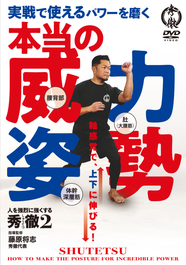 Shutetsu 2: How to Make Incredible Posture Power DVD by Masashi Fujiwara
