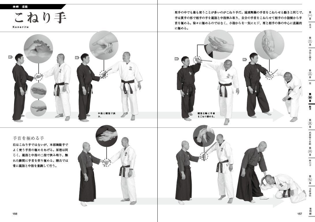 Introduction to Motobu-ryu Goten Martial Arts Book by Moritoshi Ikeda - Budovideos